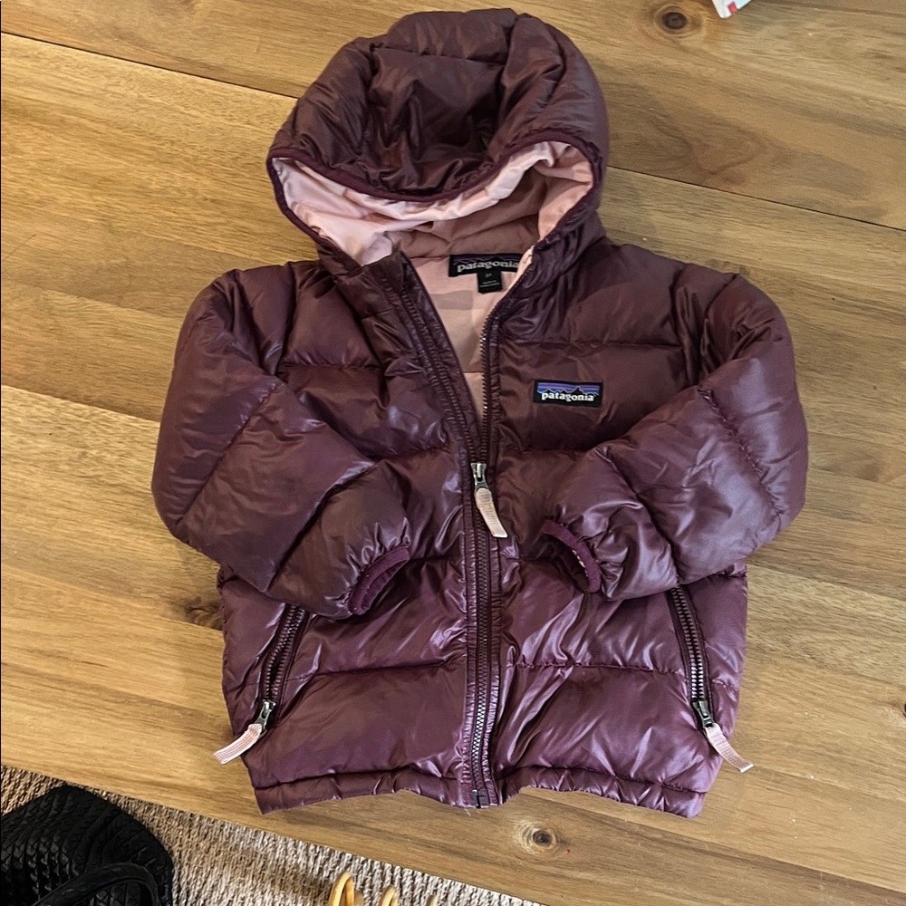 Patagonia Maroon Hooded Puffer Jacket